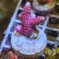 Preview: Acropora Millepora Red